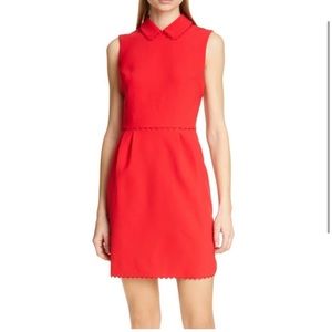 Ted Baker Curved Hem Ezzy Scalloped Detail Dress 5